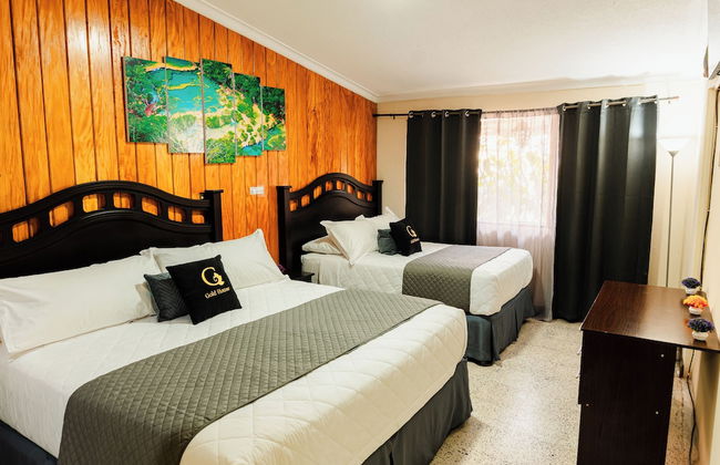 Gold House - Photo 13