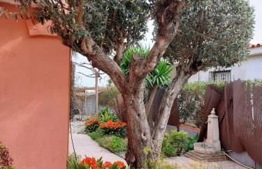 CHALET directo al MAR - Photo 35