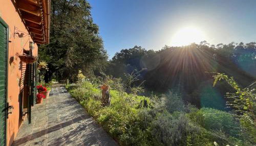 Finca El Lance Zumacal - Foto 3, Garden view
