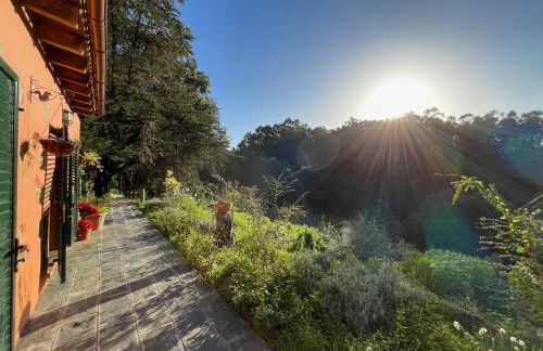 Finca El Lance Zumacal - Foto 3