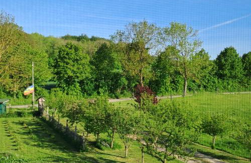 Naturhof-Goldbeck - Foto 2