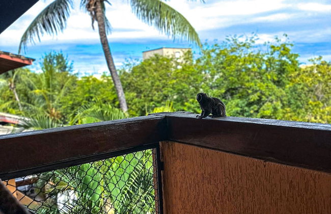 Condomínio Genipabu Summer House to OZPED Flats - Foto 44