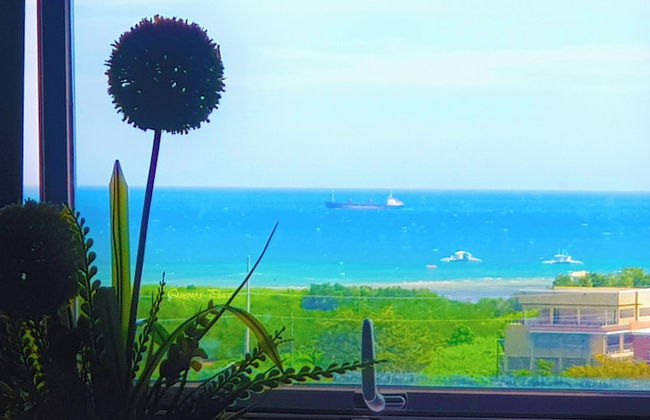 One Manchester Place 1BR Ocean View - Foto 11