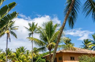 Vila Arandis apartamento Jardim, Península de Maraú Bahia - Foto 12