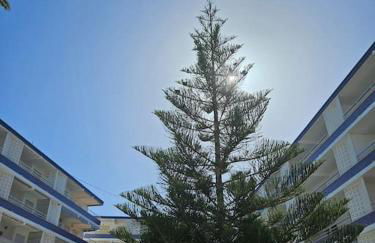 Apartamento Playa Piles -Familias- - Foto 44