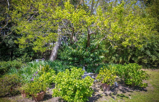 Belvilla by OYO Arte e Orto - Foto 15