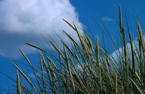 Ferienwohnung An Bord - Foto 26