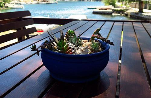 Apartments Vera - Comfort One-Bedroom Apartment with Terrace and Sea View Irena - Foto 14