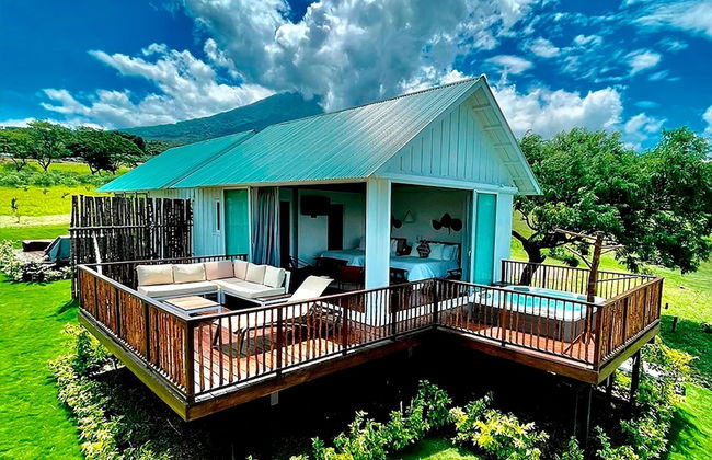 Finca San Cayetano - Photo 16