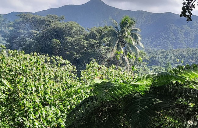Glowing view tree house and Bangalow - Foto 42