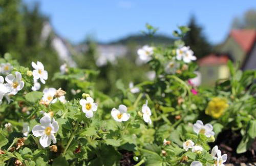 Ermis Apartments - Foto 52