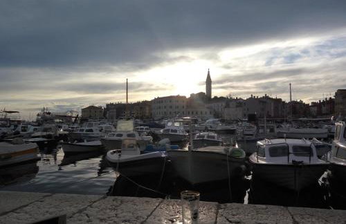 Apartment Asparagus - Photo 24