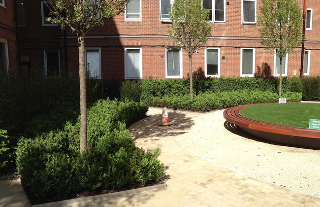 Student Only OLIB - Foto 36