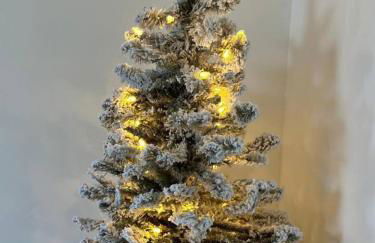 Holly Jolly Historic Home Where Its Always XMAS - Foto 60