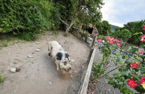 1 Bed in Welshpool oc-75714 - Foto 15