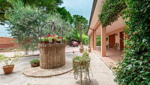 Italian Experience-Villa Rosso Corbezzolo - Foto 4, Garden