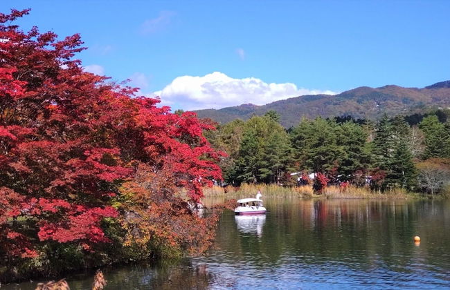 Tateshina Wanwan Paradise Cottage - Foto 32