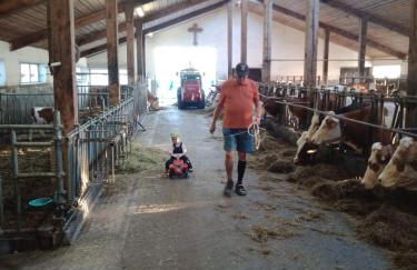 Bio-Ferienhof Köpf - Foto 25