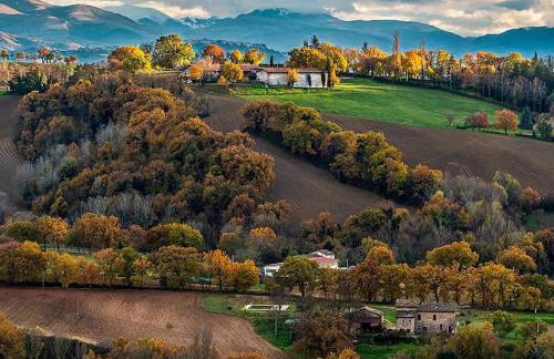 Da Foschetta - Foto 63