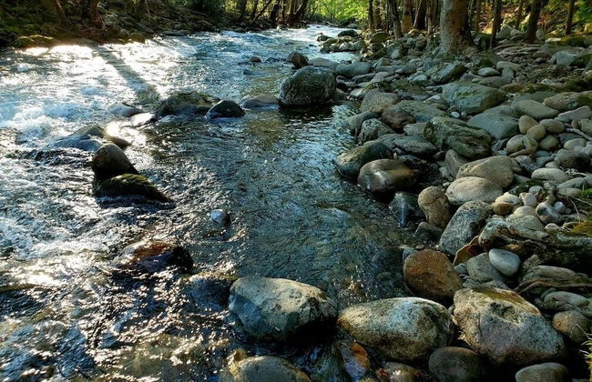 Elk Run On Cosby Creek - 2 Bedrooms, 2 Baths, Sleeps 7 Cabin by RedAwning - Foto 20