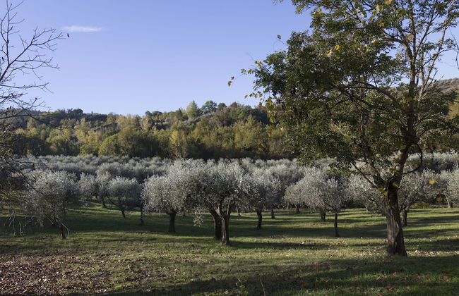 Podere le Corone - Foto 37