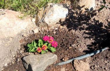 Casa de Celebrar a Vida - Foto 17