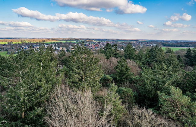 Cosy Holiday Home in Appelscha With Garden - Foto 55