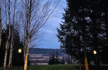 Domek Natura Rybno - Foto 36