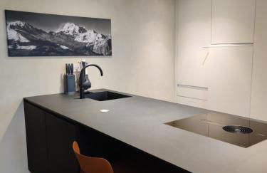 Appartement des Barons - Palais Ansermin - Dimora storica - Foto 34