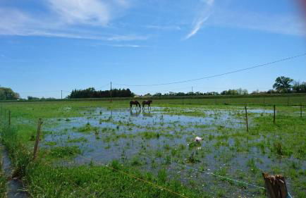 Les prairies Mas Roux - Foto 6