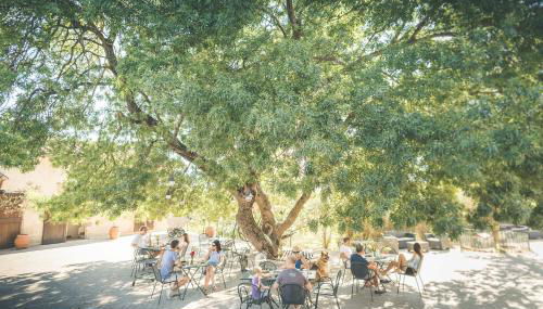 Agriturismo Selvella - Foto 3