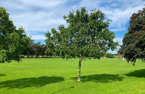 The Knavesmire - Quaint Victorian Home - Free Parking - Pet Friendly - Foto 56