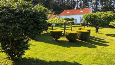 O Retiro de Bernardo - Foto 4, Garden