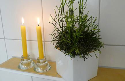 Feriendomizil Carmen Hofmann - Foto 19