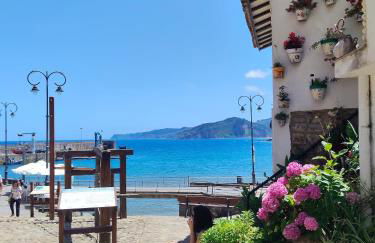 Tazones 79 VUT6993AS - Foto 62