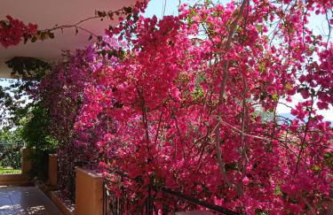 Paulina's House - Foto 15