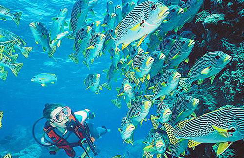 Apart Great Sea View - Photo 74