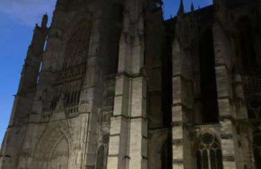 Lovely appartement Vue cathédrale, Hyper centre, proche Aéroport et Gare SNCF - Foto 14