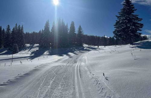 Appmt 4 pers aux pieds des pistes - Foto 1