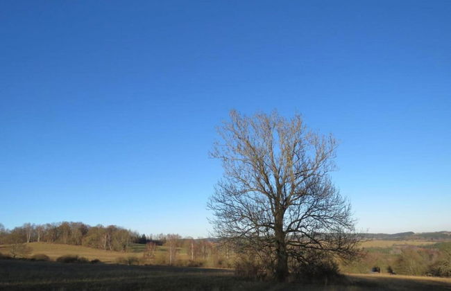 Holiday Home Milire Bohemian Forest - Foto 25