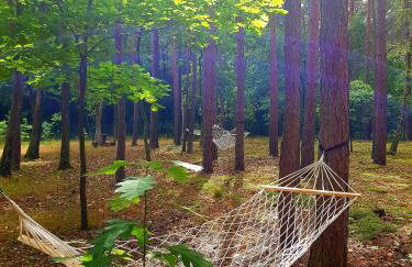 Tree Houses Olszanka - Photo 55
