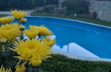 3HOUSE Sol na Eira em Paredes - Foto 43