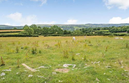 Penlon Cwrws - Photo 38