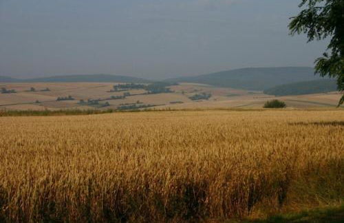 Ferienwohnung am turm - Foto 18