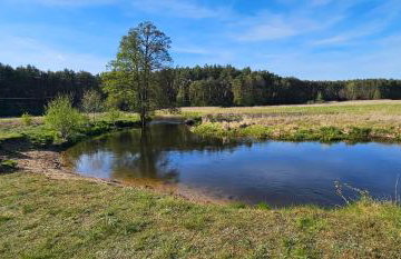 Leśna Przystań Bory Tucholskie - Foto 18
