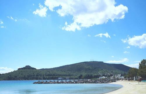 Muses Waves - Photo 22