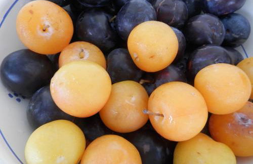 Agriturismo Salento D'Arare - Foto 43