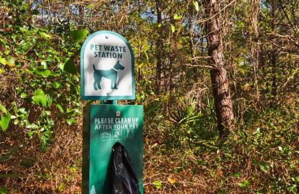 Villas At Seagrove B201 - Emerald Dunes - Foto 43