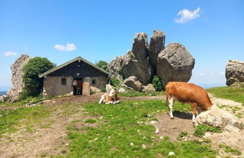 Ferienhaus Westerbuchberg - Photo 37