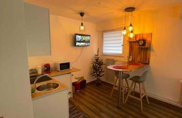 Grand Studio avec Jacuzzi - Foto 19